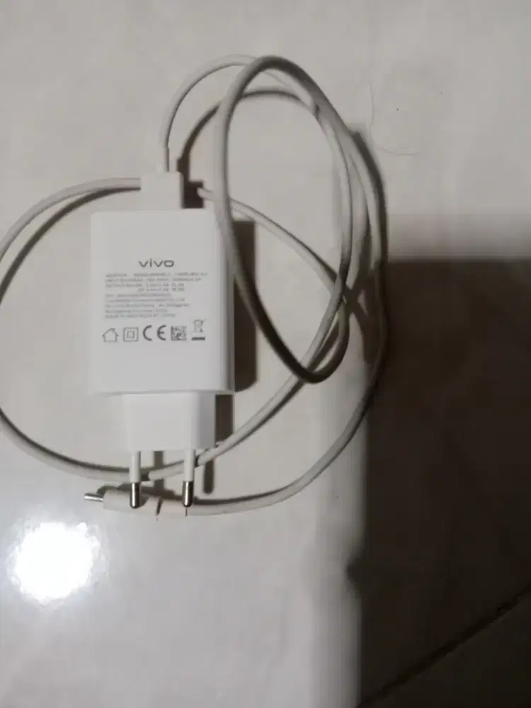Charger ori vivo