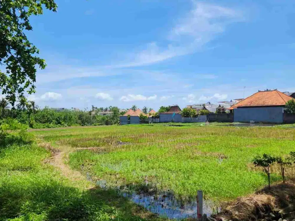 Tanah Datar Langka Hanya 200 Meter dari Pantai