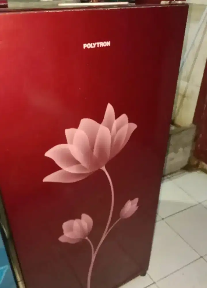 Kulkas polytron 1pintu