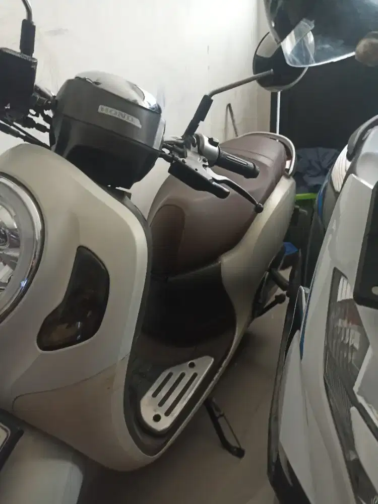 Dijual Scoopy 2024 bulan Agustus