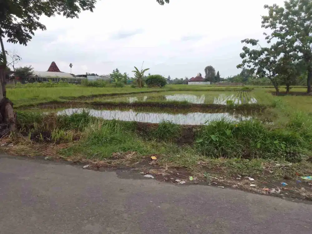 sawah sidoarum Godean slmn