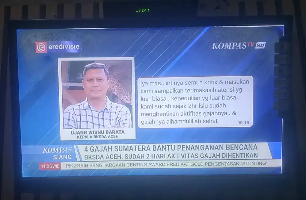 TV LED 24 INC POLYTRON Ors Normal