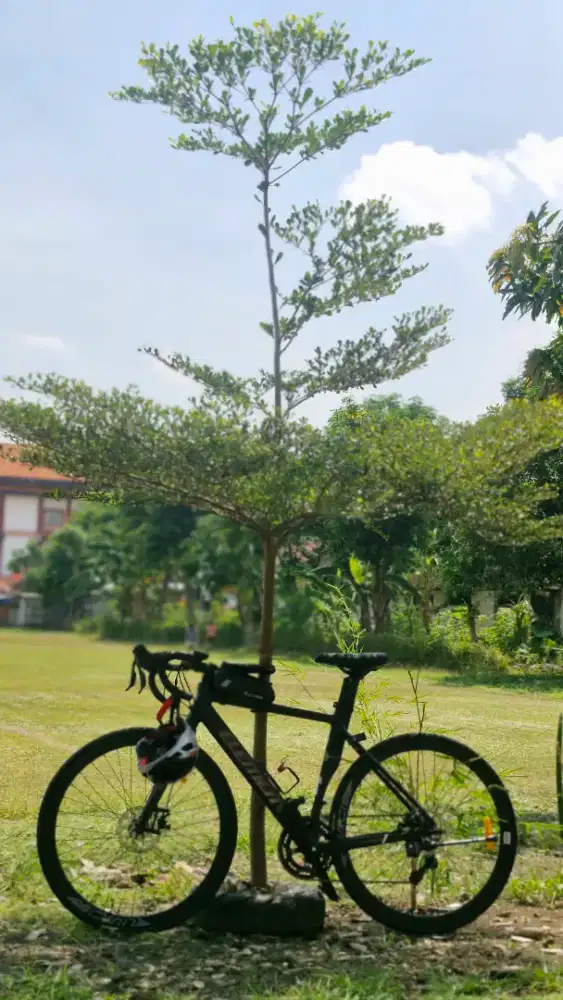 Road Bike Element FRC 50 Evo