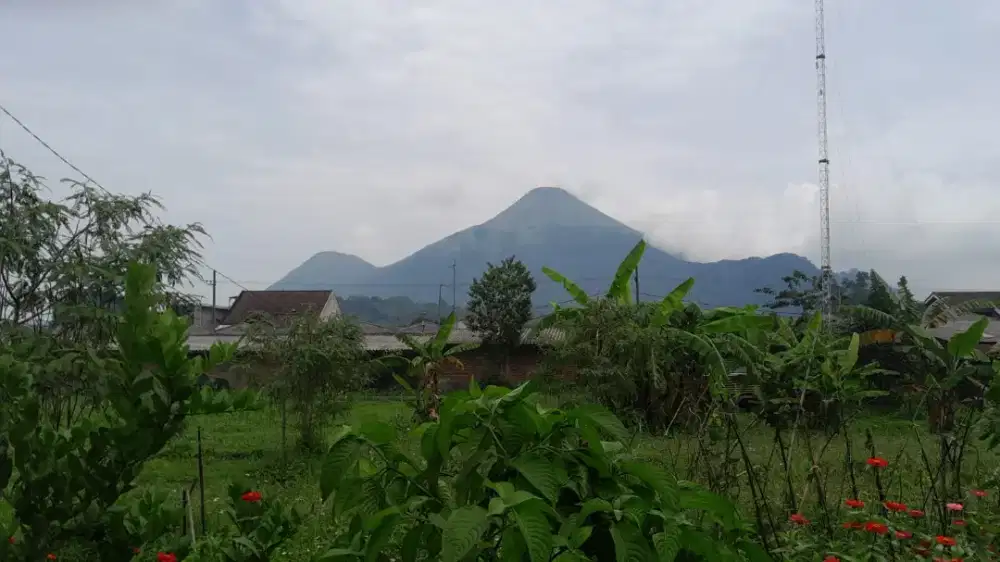 Tanah kafling  dijual murah