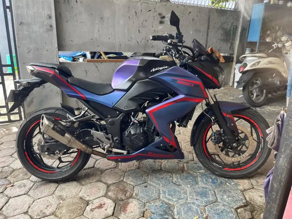 Jual Ninja Z 250 th 2013 fi full accesories