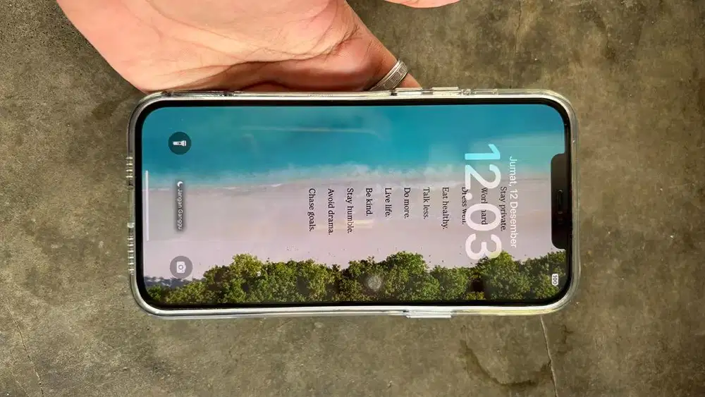 Dijual Cepat Iphone 12 Pro Max