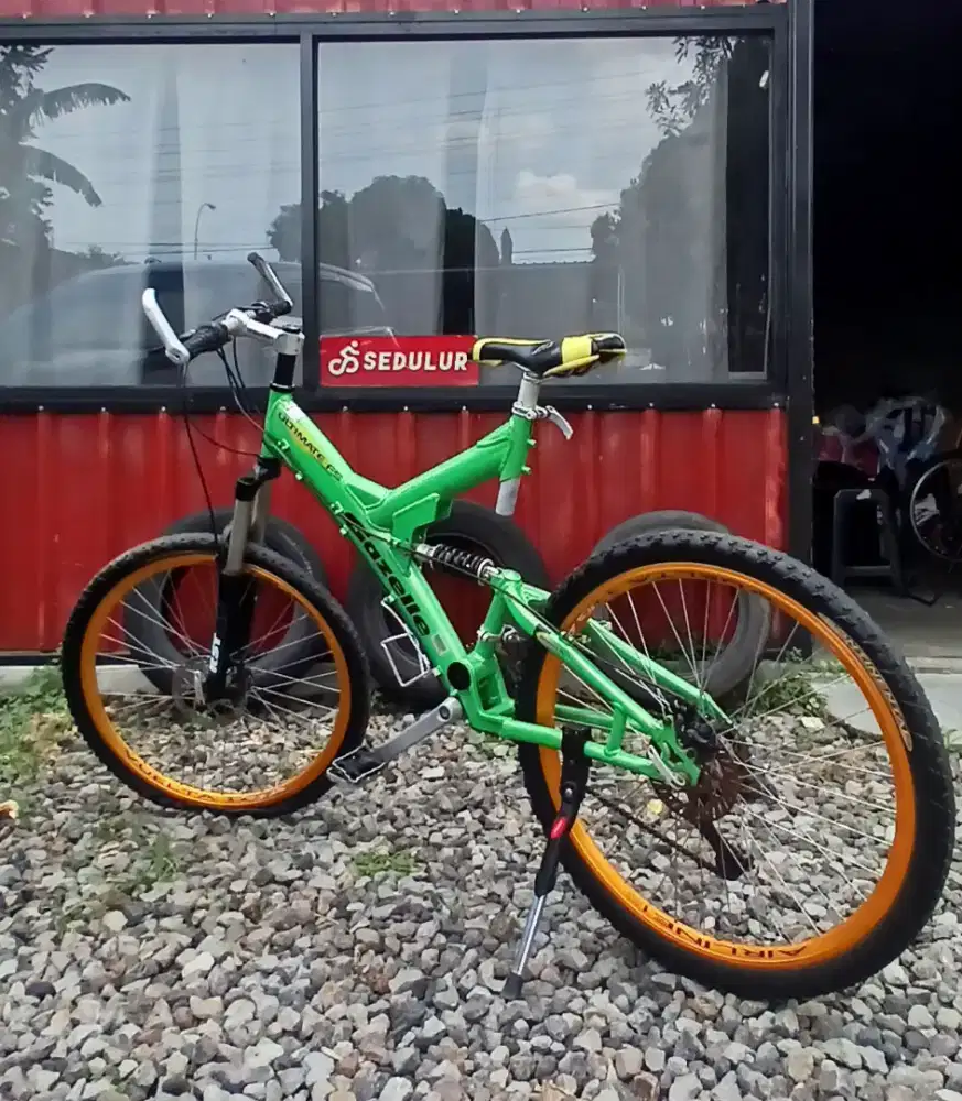 MTB Gazelle Ultimate FS