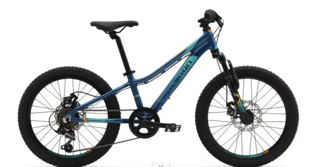 Sepeda MTB Anak Polygon Relic 20 (Nego)