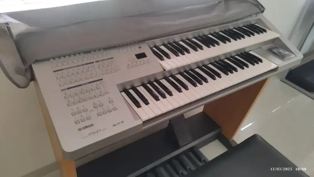 Jual yamaha elboi 01