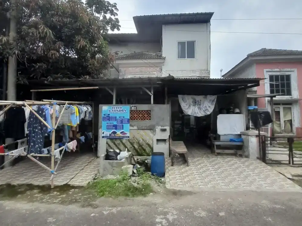 DIJUAL CLUSTER HELICONIA