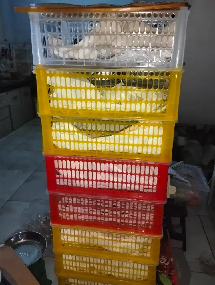 Keranjang bekas anggur