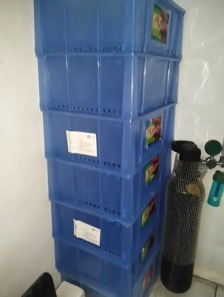 Keranjang bekas leci