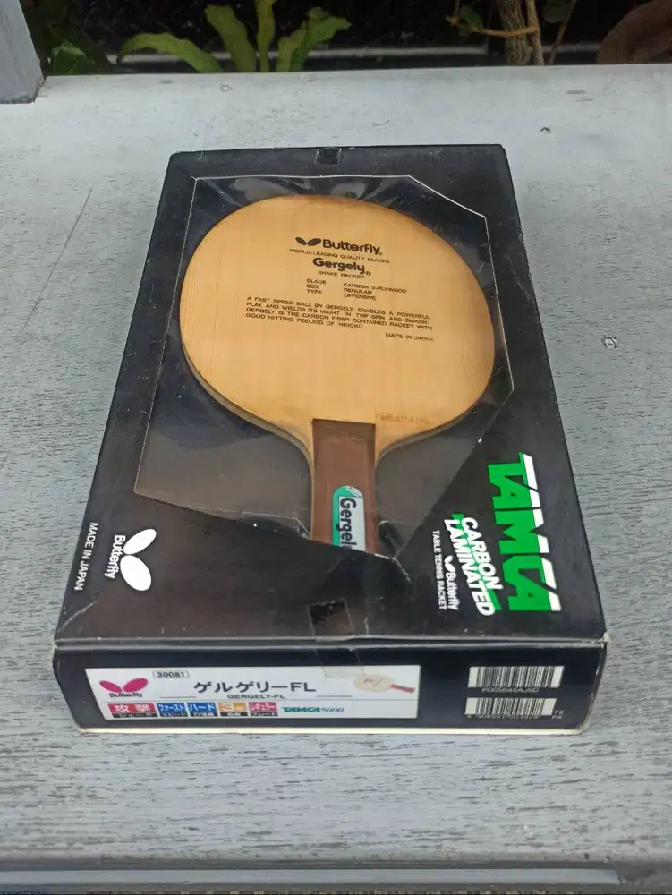 Bet Butterfly Gergely -  kupu kecil