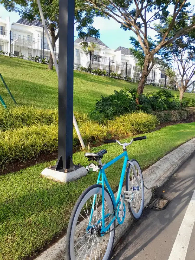 Sepeda Fixie torpedo
