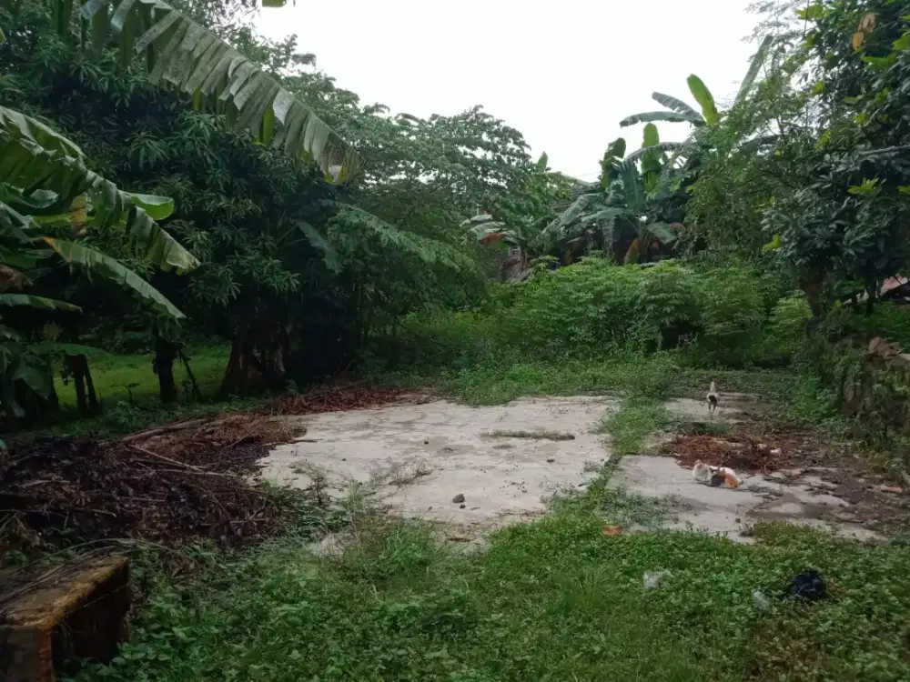 Jual cepat Tanah cempaka  village