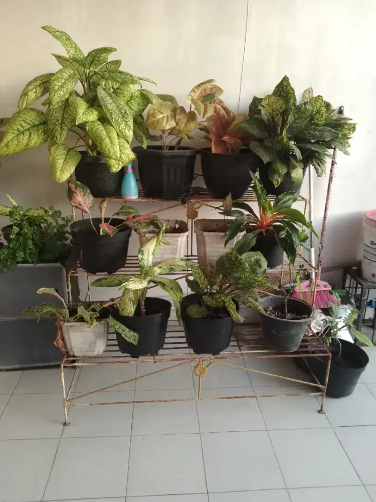 Dijual Rak bunga besi 3 tingkat 350k
