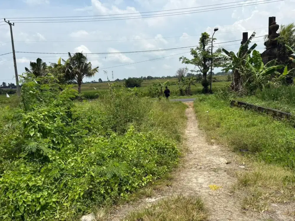 Kapling Emas Badung View Sawah Area Mengwi