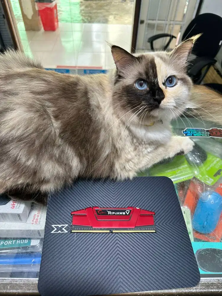 RAM PC LONGDIMM GSKILL RIPJAWS V 8GB DDR4 26666MHZ HEATSINK BEKAS