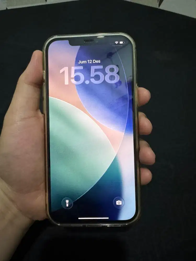 iPhone 12 pro max 256gb