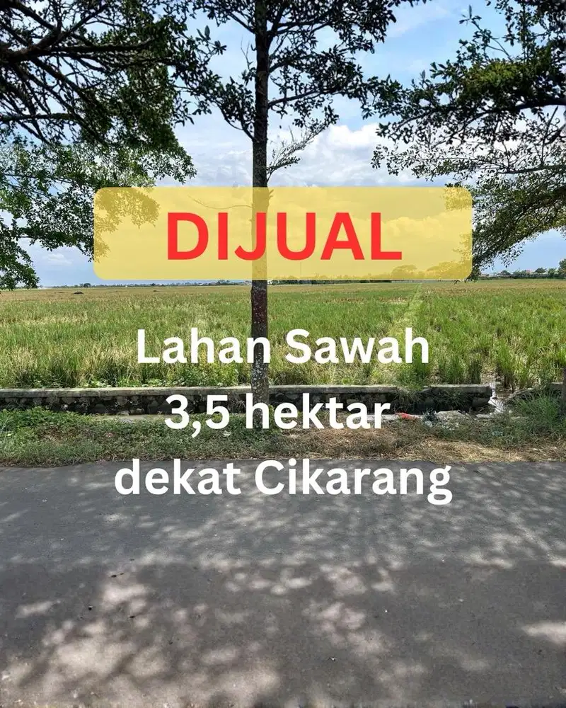 DIJUAL Tanah Sawah 3,5 Ha Pinggir Jalan Raya di Bekasi