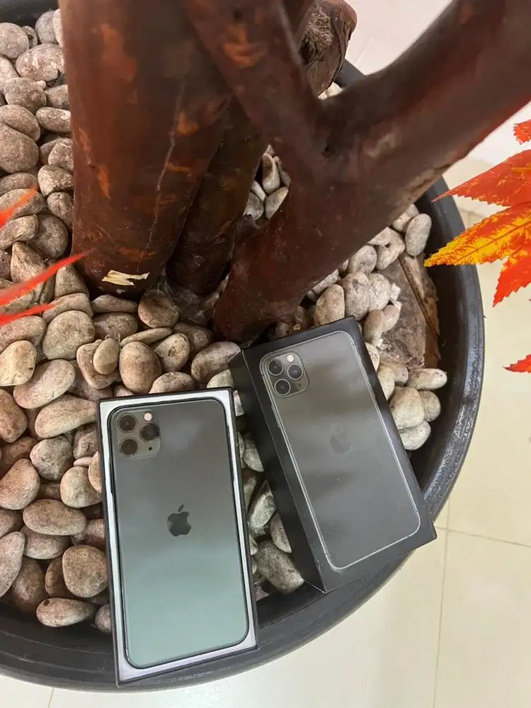 iphone 11 pro max 256gb sendiri dari baru