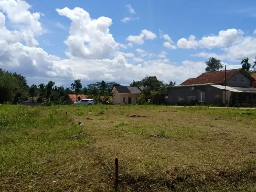 Kavling Murah Tajurhalang Cicil 12x Tanpa Bunga