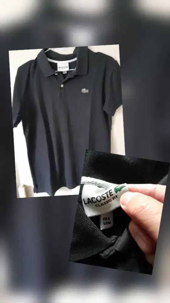 Kaos polo lacoste premium