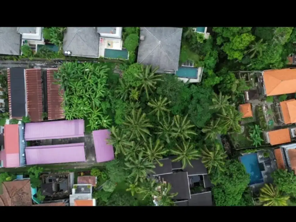 tanah premium dekat mongkey forest Ubud sangat bagus
