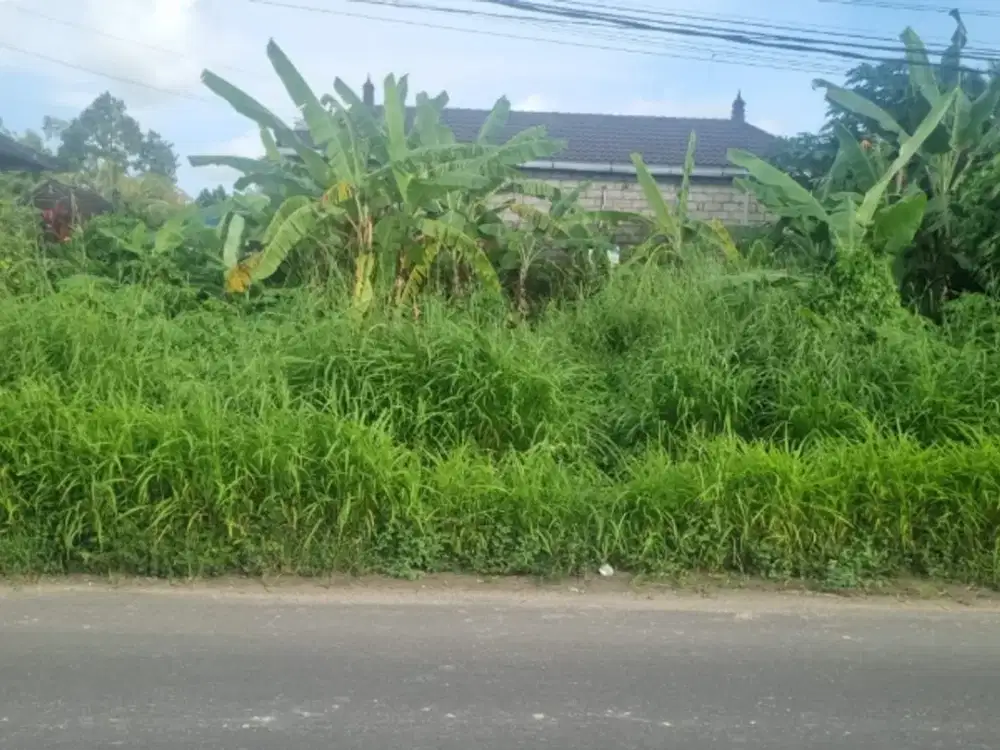 tanah bagus pinggir jalan cocok untuk usaha dan hunian