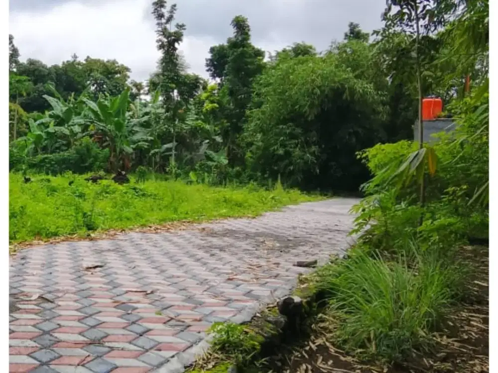 Tanah SHM Pekarangan Cocok Kost Area Kampus UII Kaliurang