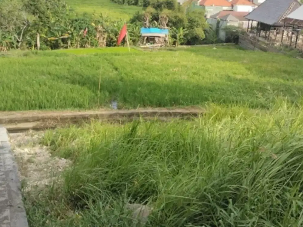 tanah bagus cocok untuk bangun villa