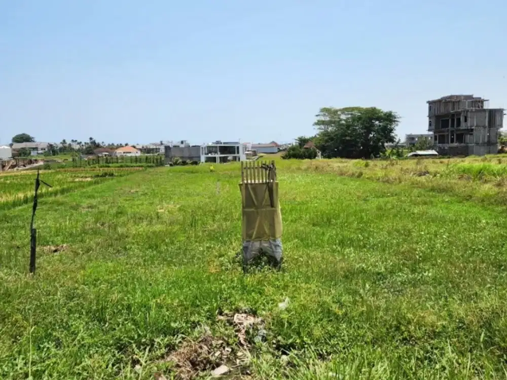 leasehold land pantai mengenging cemagi dekat pantai