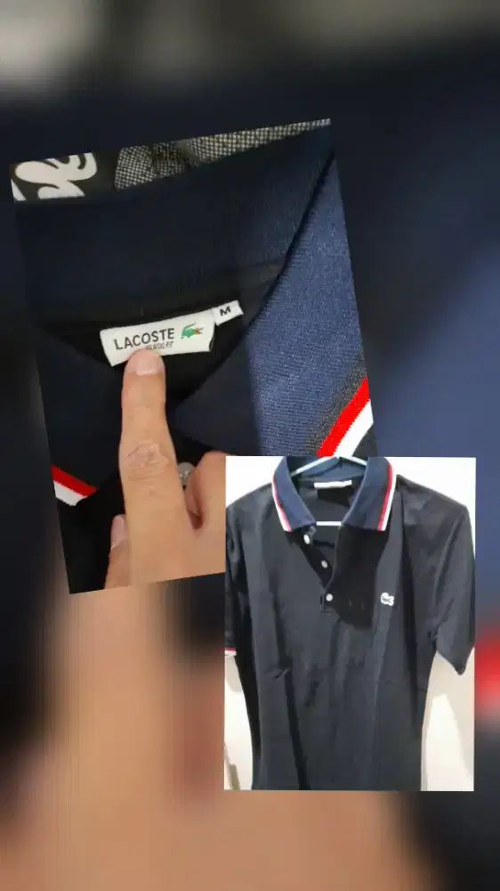 Kaos polo lacoste premium
