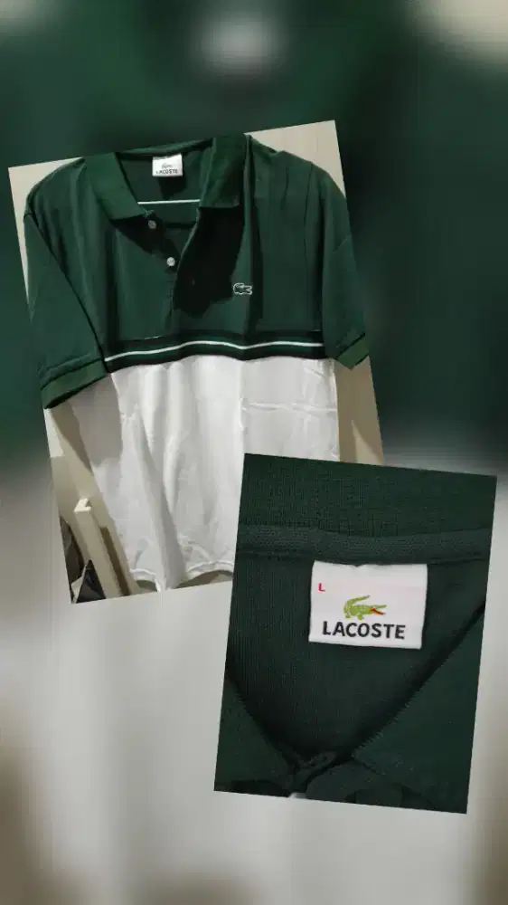 Kaos polo lacoste premium