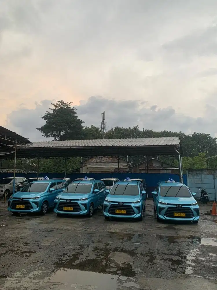 DIBUTUHKAN DRIVER BLUE BIRD SEGERA