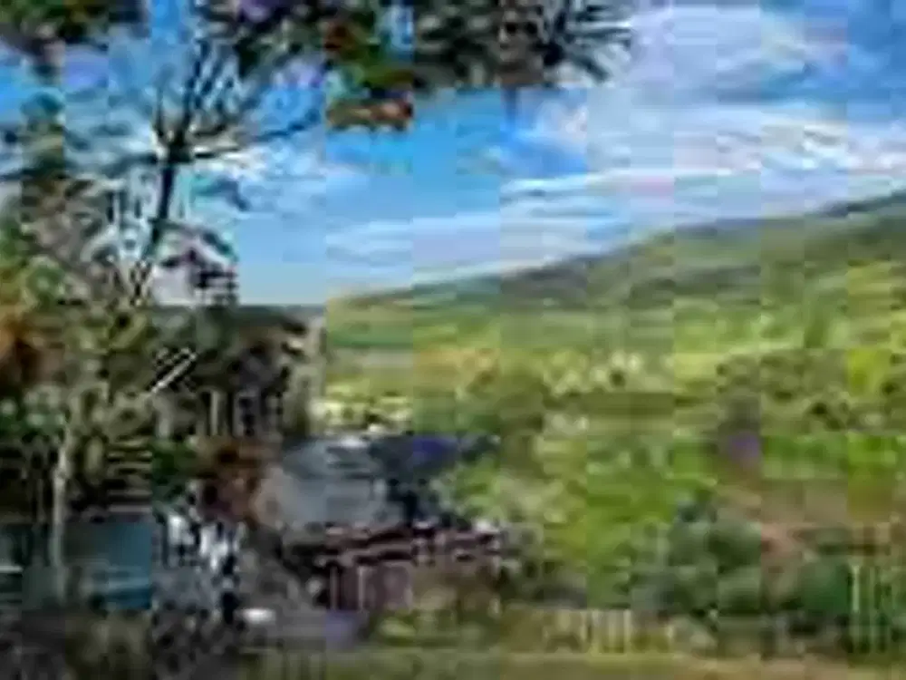 Di Jual Lahan  Glamping 
Jl. Raya Cidahu No.KM 12, Cidahu, Kec. Cidahu, Kabupaten Sukabumi

Luas -+ 54.750 M²
SHM 13 buku (sebagian belum balik nama waris)
PBB lancar
Fasilitas


Glamping luas 
3 unit luxury tent
3 rumah joglo/kayu
pos security
3 semi gla