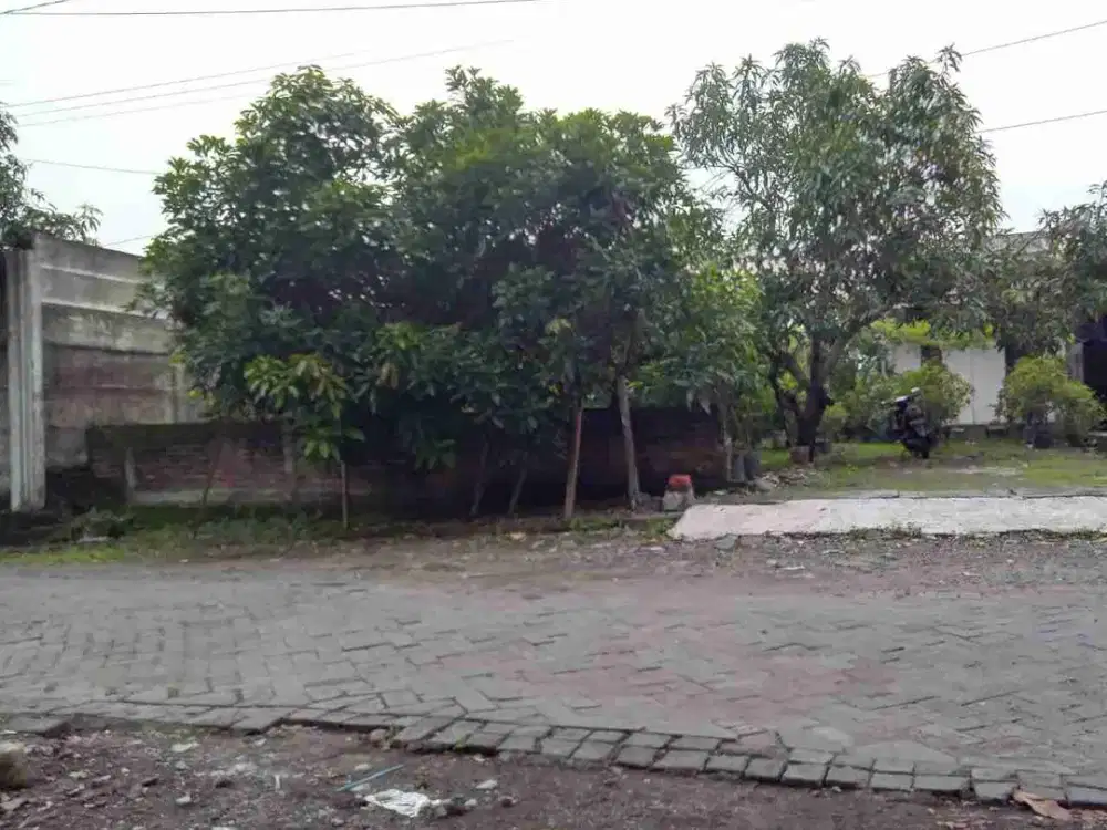 KUWUKAN LONTAR dekat Pakuwon Mall ‼️Jual Tanah Luas 474 m2 Bonus Bangunan Rumah