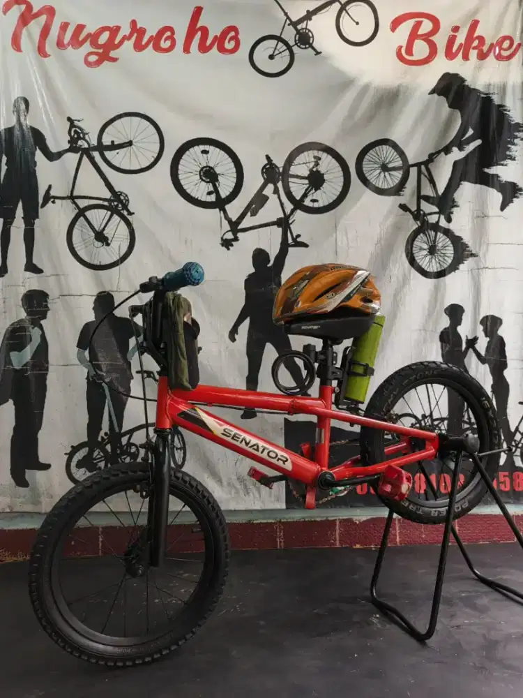 Sepeda Anak : SENATOR