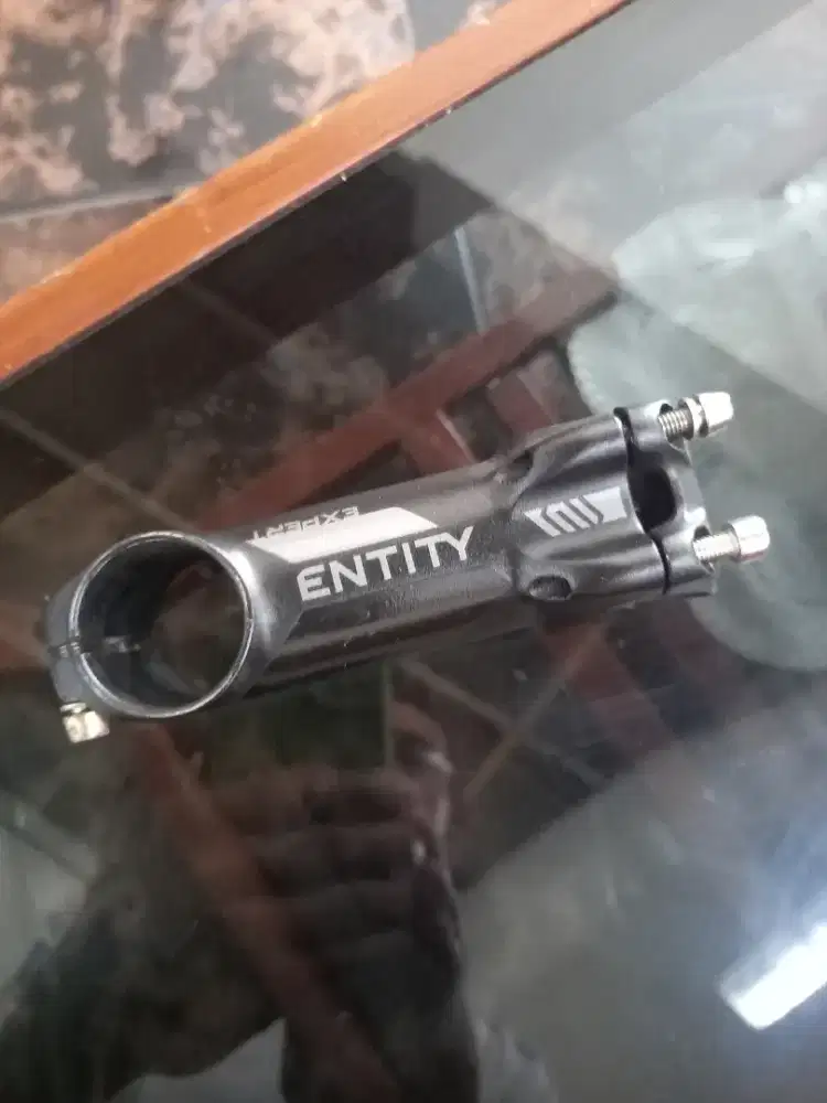 Stem Entity 8cm 7derajat