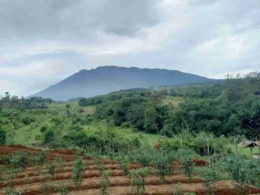 tanah kavling premium di puncak Bogor