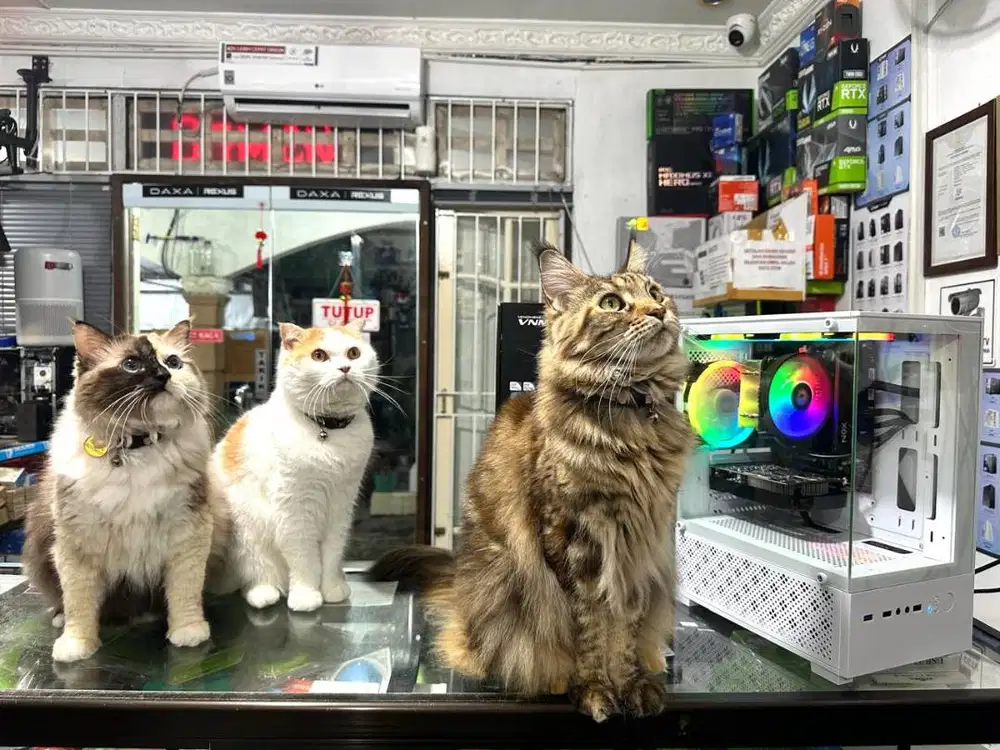 RAKITAN PC GAMING SIAP PAKAI I7 7700 RAM 16GB GTX 1050TI SSD+HDD 756GB