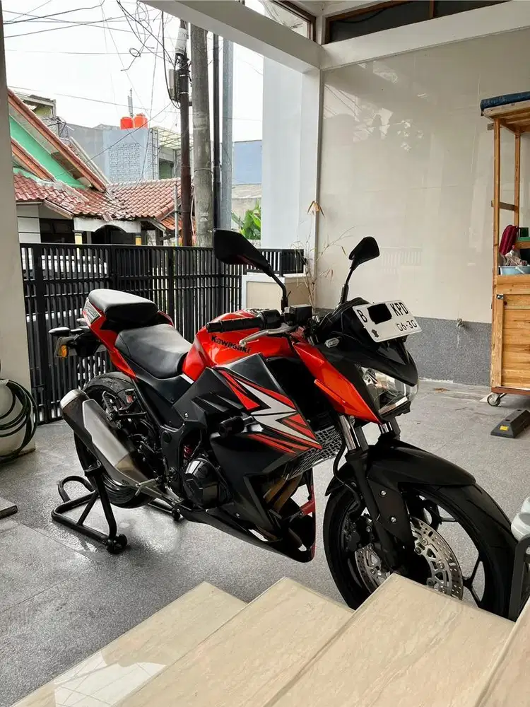 Kawasaki Z250 2014 Orange