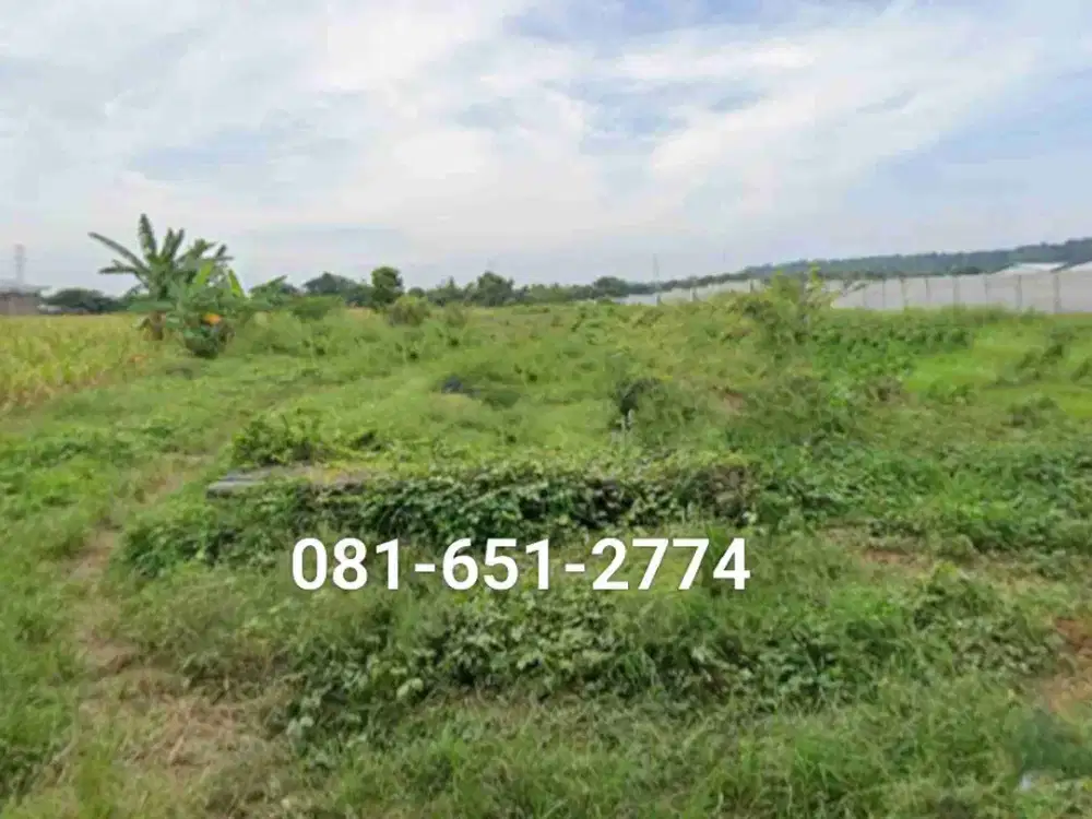 Tanah Gunung Gangsir Beji Pasuruan