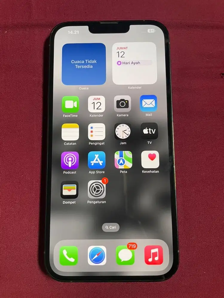 Iphone 13 promax 128 gb ( allop )