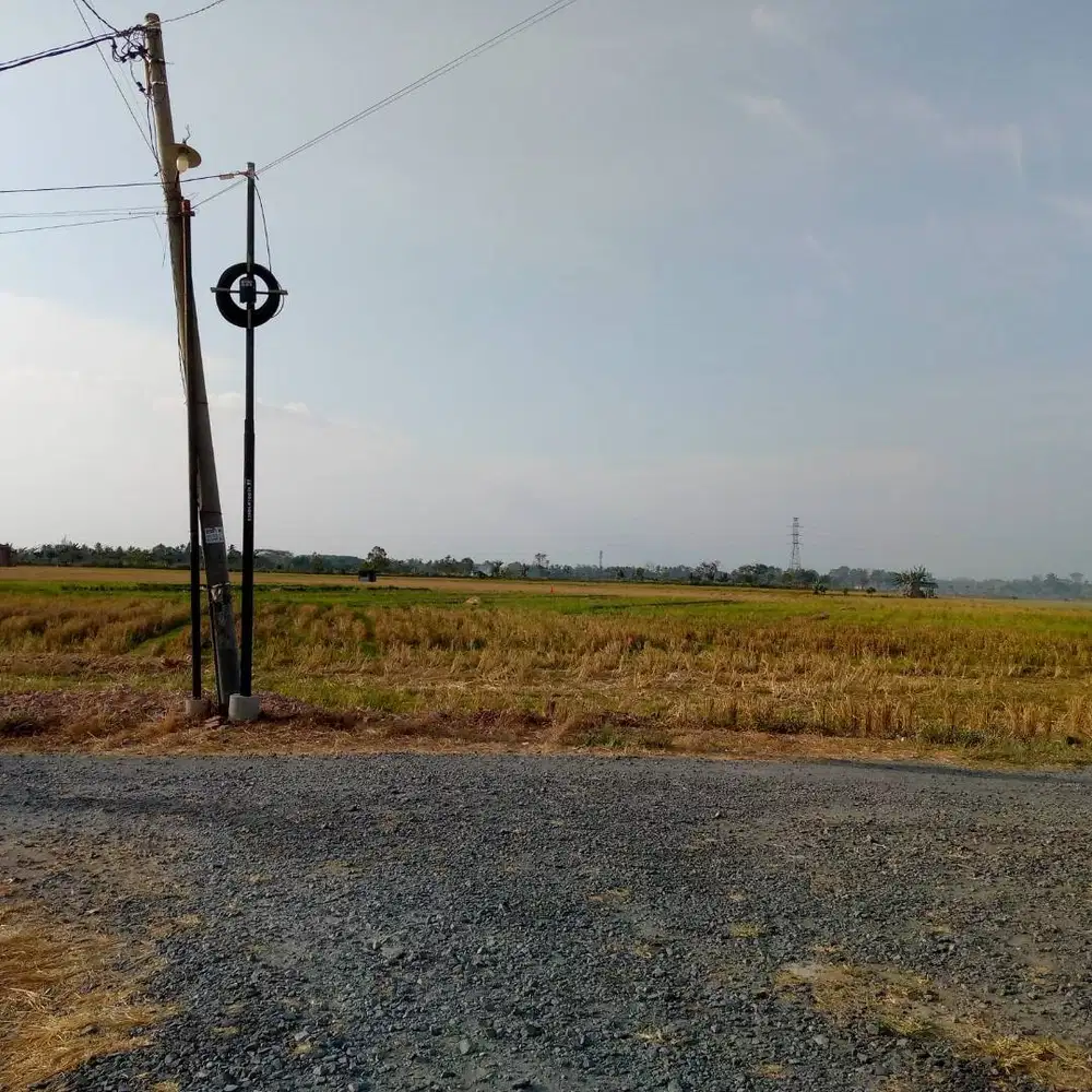 KAVLING BELAKAANG KAMPUS POLINELA BANDAR LAMPUNG