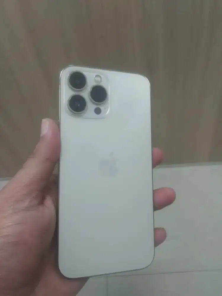 iphone 13 PM 256 ex inter