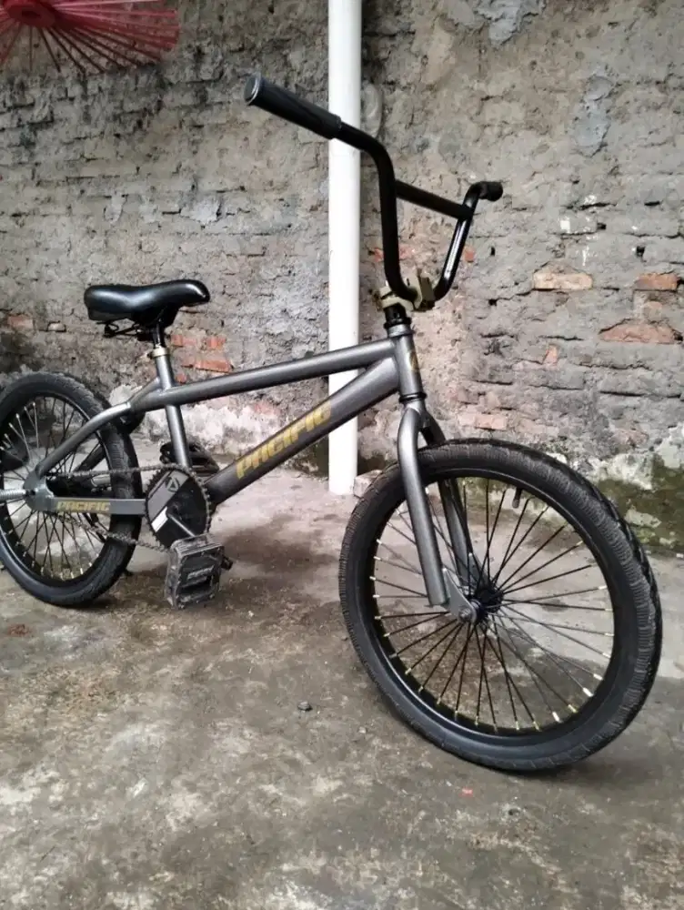 BMX PACIFIC 20 Torpedo