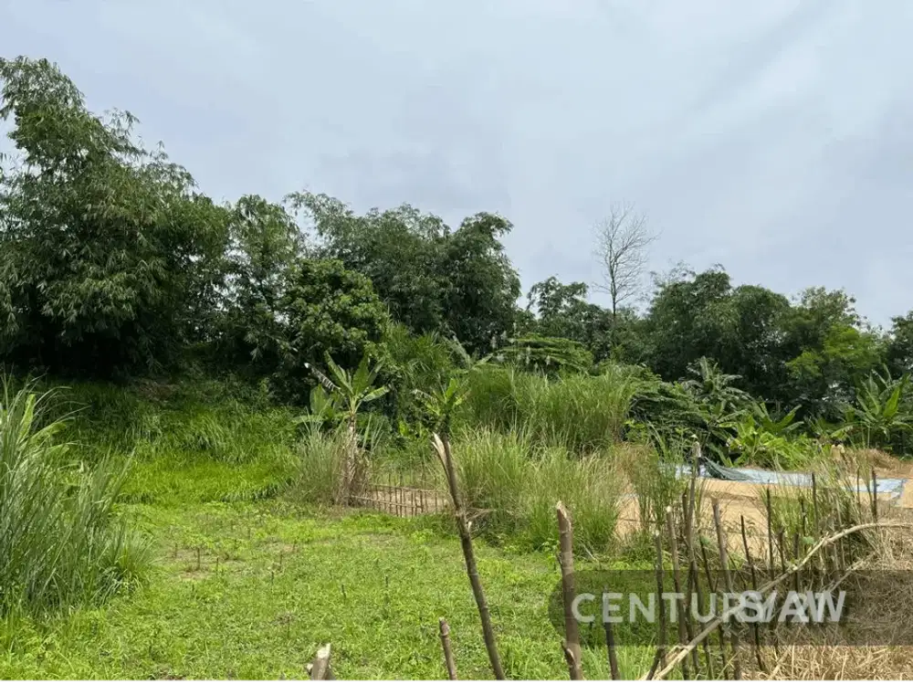 TANAH LUAS DAN STRATEGIS COCOK UNTUK USAHA DI CISALADA PURWAKARTA