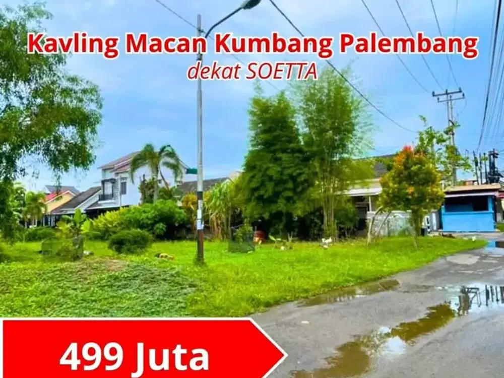 Dijual Tanah Kancil Putih Pulau Palembang