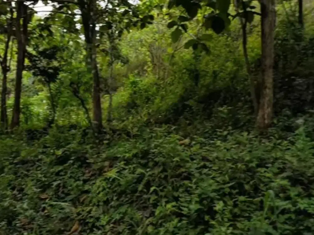 Tanah Strategis Mangku Jalan